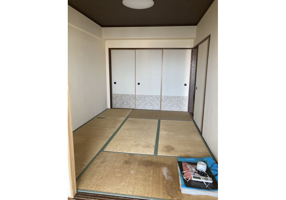 畳入れ替え前