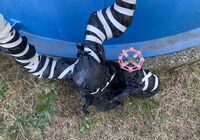 貯水槽バルブ交換前